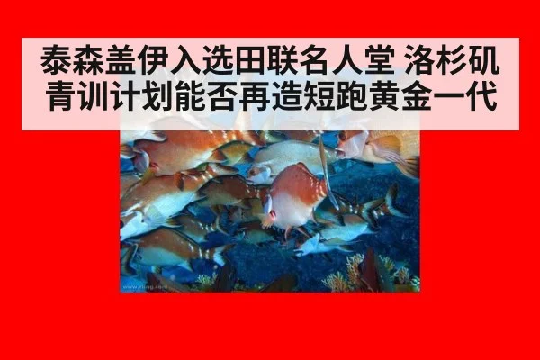 泰森盖伊入选田联名人堂 洛杉矶青训计划能否再造短跑黄金一代
